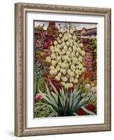 Flowering Yucca-Christopher Ryland-Framed Giclee Print