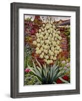 Flowering Yucca-Christopher Ryland-Framed Giclee Print