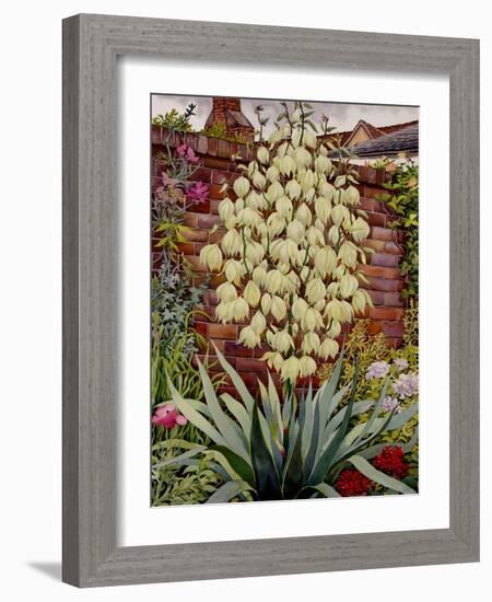 Flowering Yucca-Christopher Ryland-Framed Giclee Print