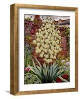 Flowering Yucca-Christopher Ryland-Framed Giclee Print