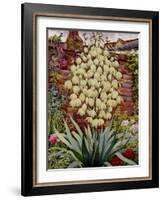 Flowering Yucca-Christopher Ryland-Framed Giclee Print