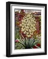 Flowering Yucca-Christopher Ryland-Framed Giclee Print