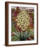 Flowering Yucca-Christopher Ryland-Framed Giclee Print