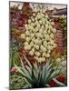 Flowering Yucca-Christopher Ryland-Mounted Giclee Print