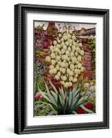 Flowering Yucca-Christopher Ryland-Framed Giclee Print