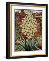 Flowering Yucca-Christopher Ryland-Framed Giclee Print