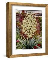 Flowering Yucca-Christopher Ryland-Framed Giclee Print