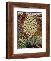 Flowering Yucca-Christopher Ryland-Framed Giclee Print