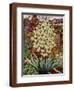 Flowering Yucca-Christopher Ryland-Framed Giclee Print