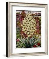 Flowering Yucca-Christopher Ryland-Framed Giclee Print