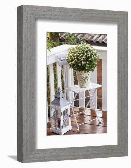 Flowerpot, Asters, Autumn Flowers, Chair, Lantern-Andrea Haase-Framed Photographic Print