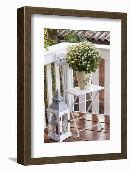 Flowerpot, Asters, Autumn Flowers, Chair, Lantern-Andrea Haase-Framed Photographic Print