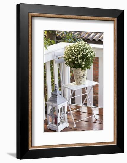 Flowerpot, Asters, Autumn Flowers, Chair, Lantern-Andrea Haase-Framed Photographic Print