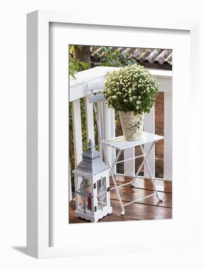 Flowerpot, Asters, Autumn Flowers, Chair, Lantern-Andrea Haase-Framed Photographic Print