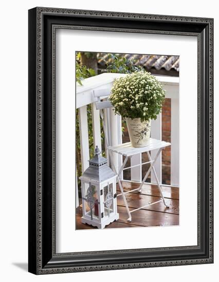 Flowerpot, Asters, Autumn Flowers, Chair, Lantern-Andrea Haase-Framed Photographic Print