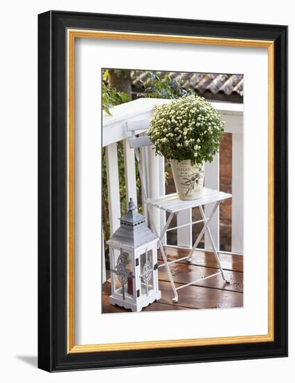 Flowerpot, Asters, Autumn Flowers, Chair, Lantern-Andrea Haase-Framed Photographic Print