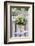 Flowerpot, Asters, Autumn Flowers, Chair-Andrea Haase-Framed Photographic Print