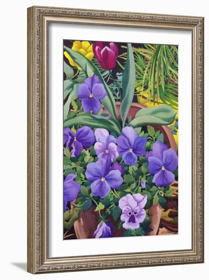 Flowerpots with Pansies, 2007-Christopher Ryland-Framed Giclee Print