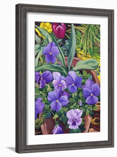 Flowerpots with Pansies, 2007-Christopher Ryland-Framed Giclee Print