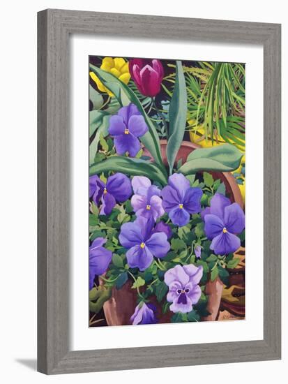 Flowerpots with Pansies, 2007-Christopher Ryland-Framed Giclee Print