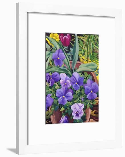 Flowerpots with Pansies, 2007-Christopher Ryland-Framed Giclee Print