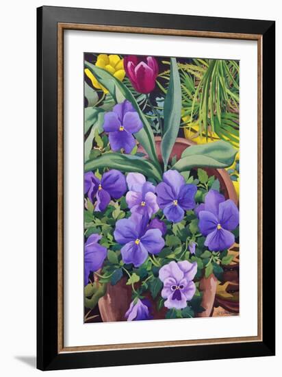 Flowerpots with Pansies, 2007-Christopher Ryland-Framed Giclee Print