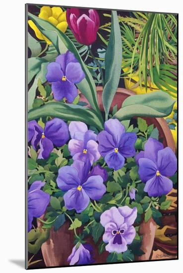 Flowerpots with Pansies, 2007-Christopher Ryland-Mounted Giclee Print