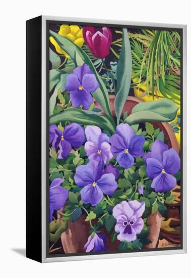 Flowerpots with Pansies, 2007-Christopher Ryland-Framed Premier Image Canvas