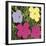 Flowers, 1970 (1 purple, 1 yellow, 2 pink)-Andy Warhol-Framed Art Print