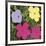 Flowers, 1970 (1 purple, 1 yellow, 2 pink)-Andy Warhol-Framed Art Print