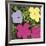 Flowers, 1970 (1 purple, 1 yellow, 2 pink)-Andy Warhol-Framed Art Print