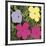 Flowers, 1970 (1 purple, 1 yellow, 2 pink)-Andy Warhol-Framed Art Print