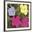 Flowers, 1970 (1 purple, 1 yellow, 2 pink)-Andy Warhol-Framed Art Print