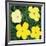 Flowers, 1970 (4 Yellow)-Andy Warhol-Framed Art Print