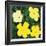 Flowers, 1970 (4 Yellow)-Andy Warhol-Framed Art Print