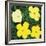 Flowers, 1970 (4 Yellow)-Andy Warhol-Framed Art Print