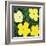 Flowers, 1970 (4 yellow)-Andy Warhol-Framed Art Print