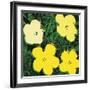 Flowers, 1970 (4 yellow)-Andy Warhol-Framed Art Print