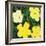 Flowers, 1970 (4 yellow)-Andy Warhol-Framed Art Print