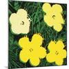 Flowers, 1970 (4 yellow)-Andy Warhol-Mounted Art Print
