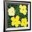 Flowers, 1970 (4 yellow)-Andy Warhol-Framed Art Print