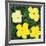 Flowers, 1970 (4 yellow)-Andy Warhol-Framed Art Print