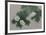 Flowers 19-David Lee-Framed Limited Edition