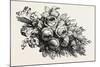 Flowers, 19th Century-null-Mounted Giclee Print