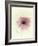 Flowers Aglow II-Judy Stalus-Framed Photographic Print