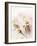 Flowers Aglow III-Judy Stalus-Framed Photographic Print