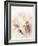 Flowers Aglow III-Judy Stalus-Framed Photographic Print