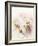 Flowers Aglow III-Judy Stalus-Framed Photographic Print