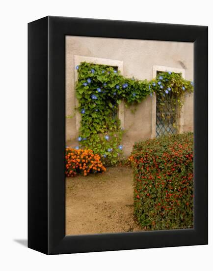 Flowers Along Stucco Building, Burgundy, France-Lisa S. Engelbrecht-Framed Premier Image Canvas