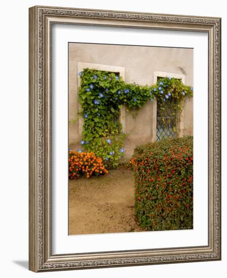 Flowers Along Stucco Building, Burgundy, France-Lisa S. Engelbrecht-Framed Photographic Print